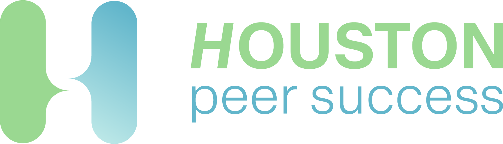 Houston Peer Success